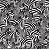 Zebras Puzzle