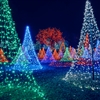 Christmas Tree Lights Puzzle