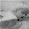 sleeping angel