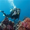 scuba diving Puzzle
