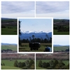Farm views...Southland... New Zealand