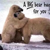 Bear Hug Puzzle