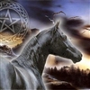 Wiccan Horse Puzzle