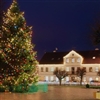 Christmas Tree Saldus Latvia Puzzle