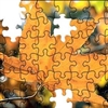 Dont Worry All the Pieces ARE there Puzzle