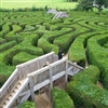 longleat maze