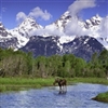 The Grand Tetons Puzzle