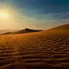 Hot Desert Sun