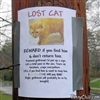 Lost Cat and STUPID man
