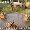 Tigers Puzzle