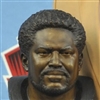 1st  RAVEN IN THE H.O.F. JONATHAN OGDEN'S BUST