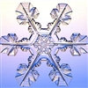 Snowflake Puzzle