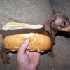 Hot Dog....