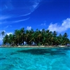 Coconut Isle