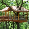 Treehouse 1