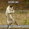 Irish Cat Puzzle