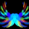 Colourful Wings