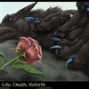 Life Death Rebirth