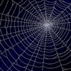 Spider Web Puzzle