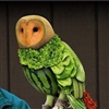 Fruit Owl Puzzle