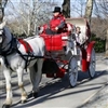 Horse Carriage Ride Puzzle