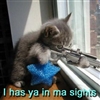 In ma sights Puzzle