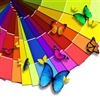 colorful butterflies Puzzle