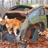 Old car Puzzle