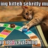 Cheating Kitty....