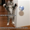 World Cat Puzzle