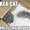 IKEA Cat Puzzle