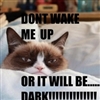 Dark cat.....