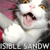 Sandwich Cat....