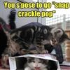 Breakfast Cat Puzzle