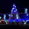 Christmas Lights Nela Park