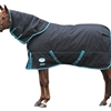 Horse cover Puzzle