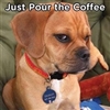 Coffee Dog