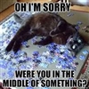 Oh Im Sorry Puzzle