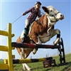 Cow jumping