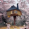 Japanese treehouse of Terunobu Fujimori.