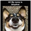 Meet Stop That Dog Puzzle