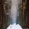 An Afternoon Jog Through A Winter Wonderland Puzzle