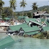 The Tsunami 2004 Puzzle