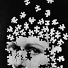 face Puzzle