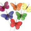 Butterflies Puzzle