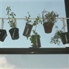 Window farming