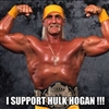 I support Hulk Hogan