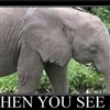 Elephant face Puzzle