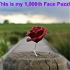 1000 Puzzle