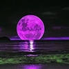 Purple Moon Night Puzzle